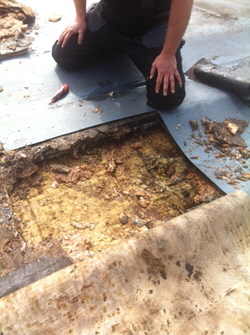 Annaberg-Buchholz Sachsen Bauratschläge Hoffmann - Expertenrat Expertentips beim Hausneubau, beim Ausbauen, beim Sanieren, beim Umbauen gibt es tausend Dinge zu durchdenken. Von gesetzlichen Vorgaben bis zur Energieeffizienz, bei der Planung und der  Bauausführung gibt es unzählige Vorgaben und Vorschriften zu beachten. Bauratschläge für  Marienberg, Schwarzenberg, Schneeberg, Stollberg, Pockau-Lengenfeld, Zschopau, Zwickau, Pfaffroda, Chemnitz, 